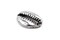 The Bead Chest Silver Cowrie Shells (Set of 5): Metal Beads for DIY Crafts & Jewelry-Making Inspired by African Sea Shells